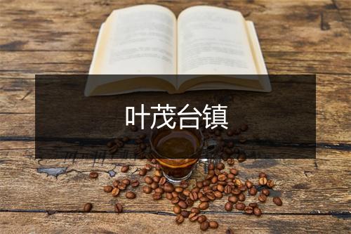 叶茂台镇