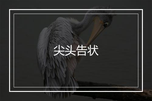 尖头告状