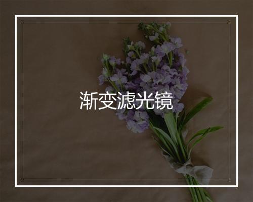 渐变滤光镜