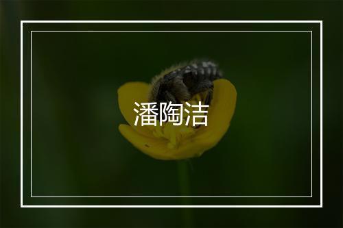 潘陶洁