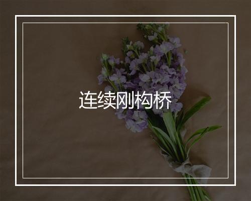 连续刚构桥