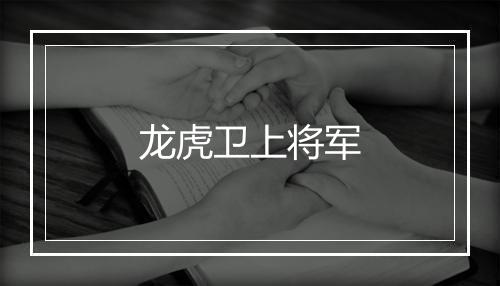 龙虎卫上将军