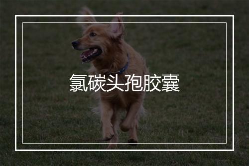 氯碳头孢胶囊