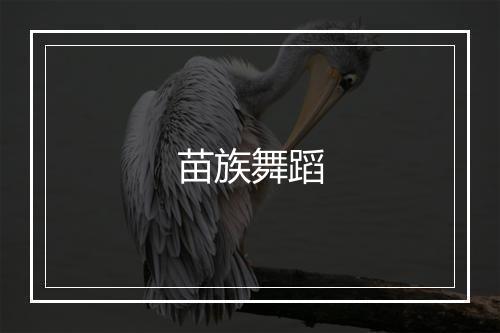 苗族舞蹈