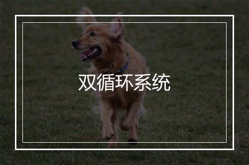 双循环系统