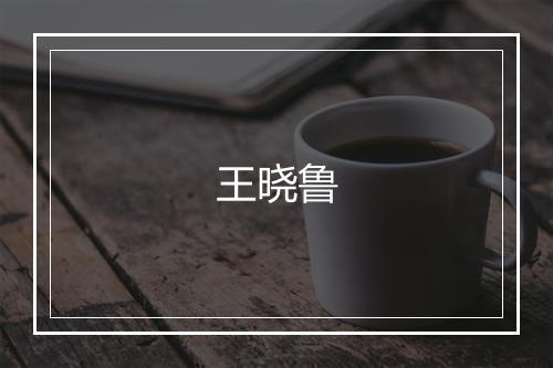 王晓鲁