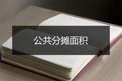 公共分摊面积