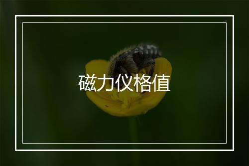 磁力仪格值