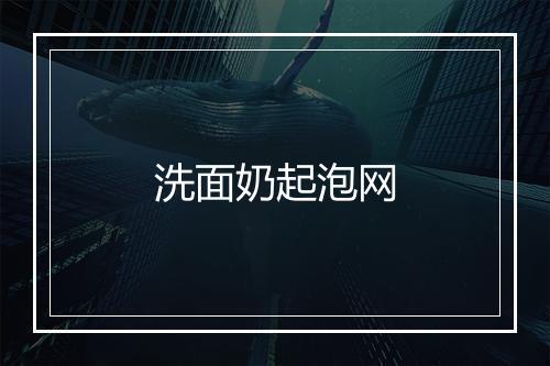 洗面奶起泡网