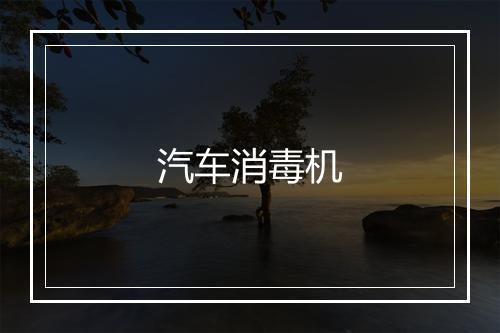 汽车消毒机