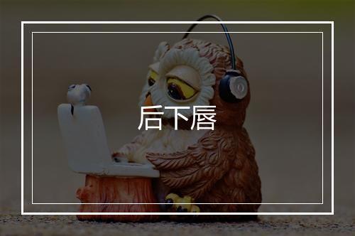 后下唇