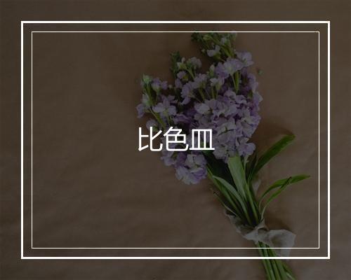 比色皿