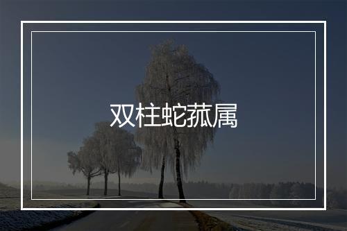 双柱蛇菰属