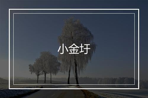 小金圩