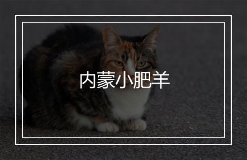 内蒙小肥羊