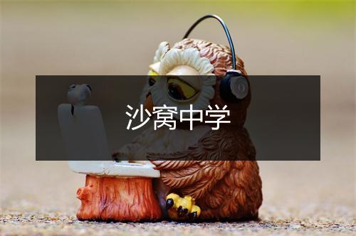 沙窝中学