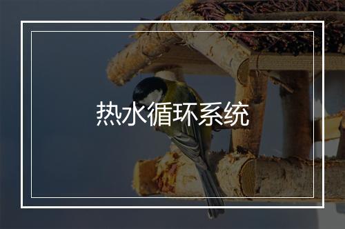 热水循环系统