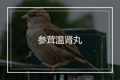 参茸温肾丸