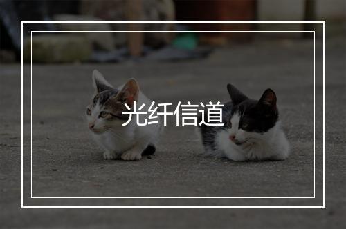 光纤信道