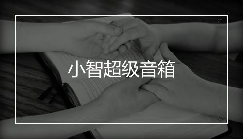 小智超级音箱