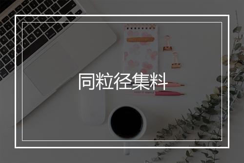 同粒径集料