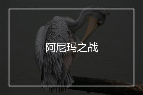 阿尼玛之战