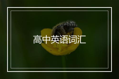 高中英语词汇