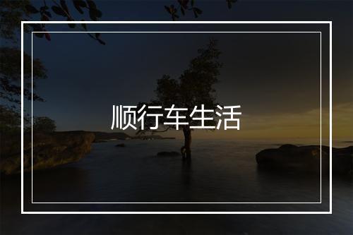 顺行车生活