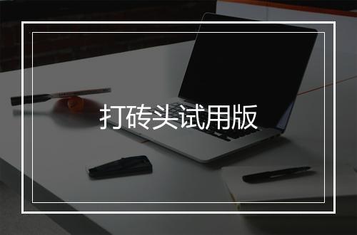 打砖头试用版