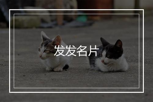 发发名片