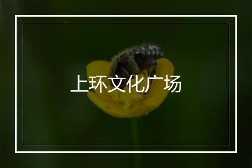 上环文化广场