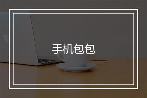 手机包包