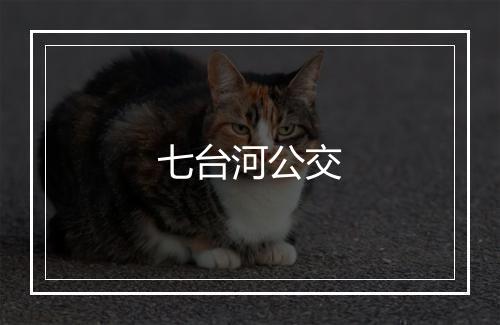 七台河公交