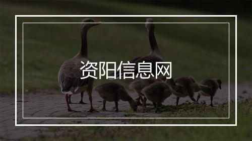 资阳信息网