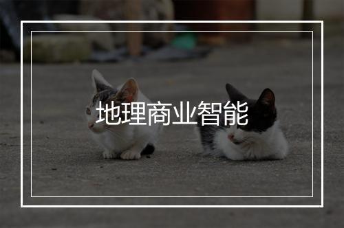 地理商业智能