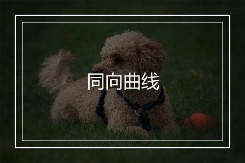 同向曲线