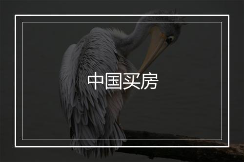 中国买房