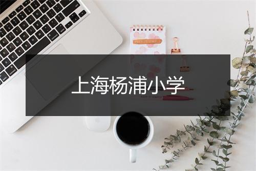 上海杨浦小学