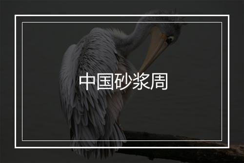 中国砂浆周