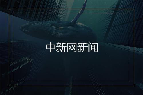 中新网新闻