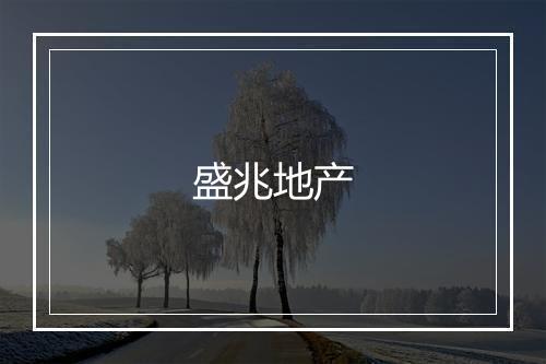 盛兆地产