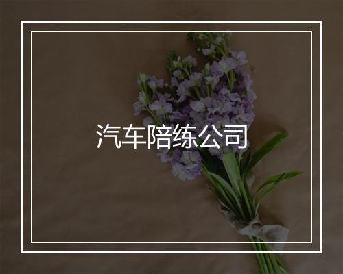 汽车陪练公司