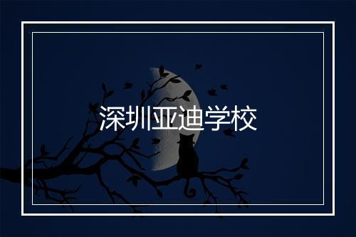 深圳亚迪学校