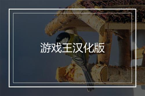 游戏王汉化版