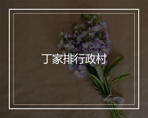 丁家排行政村