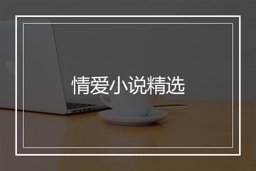 情爱小说精选