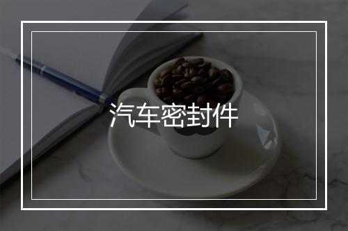 汽车密封件