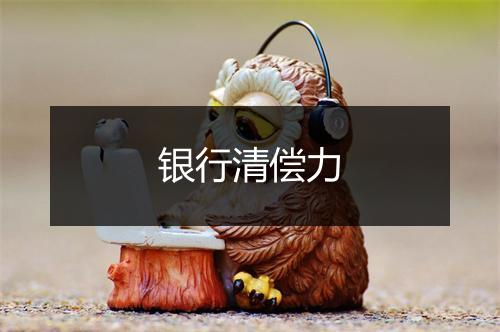 银行清偿力