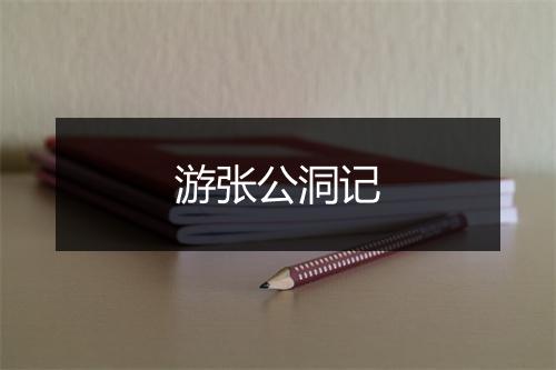 游张公洞记