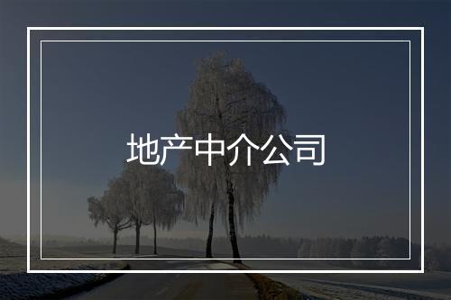 地产中介公司